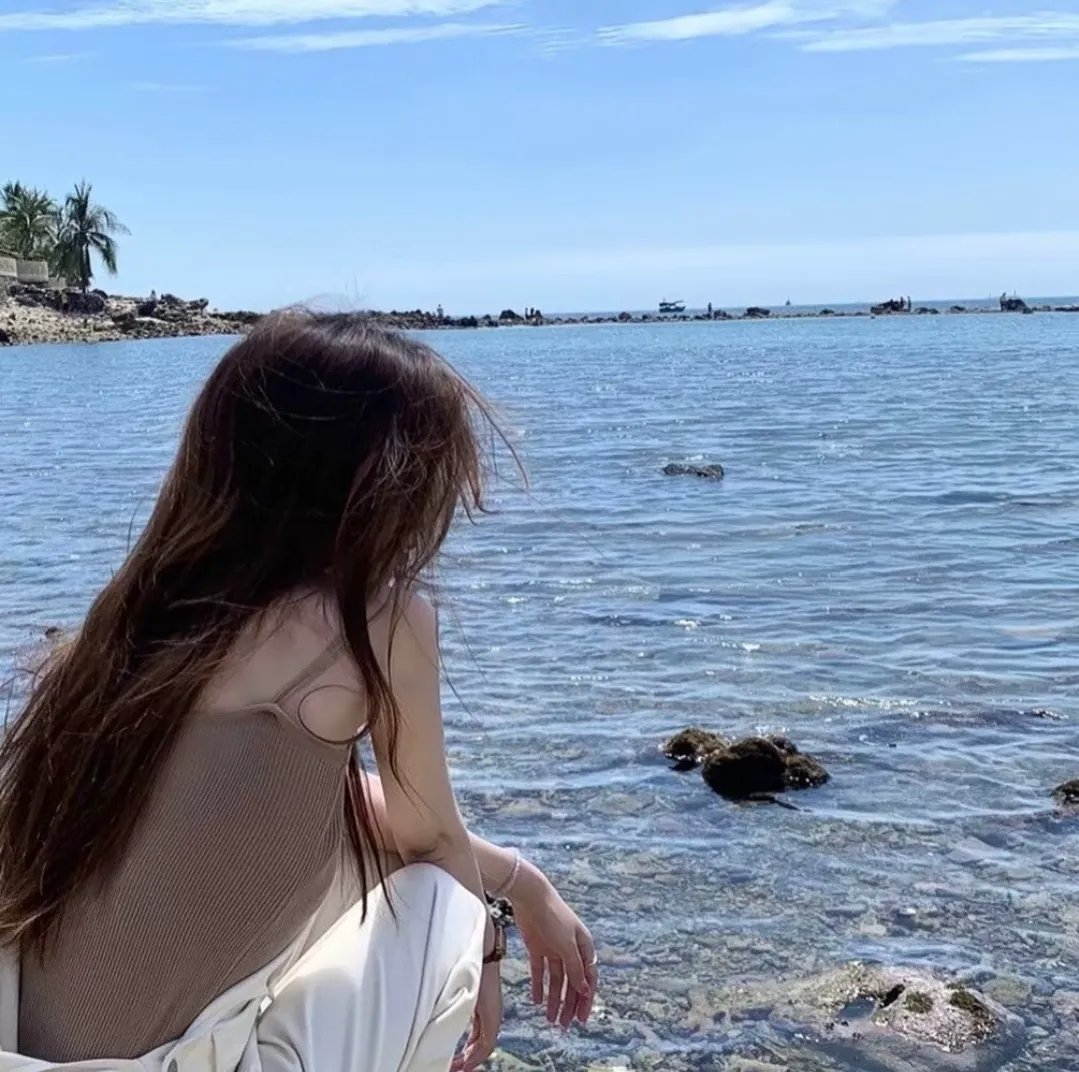 鲨胆小英雄